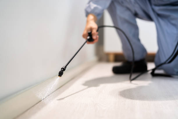 Licensed Pest Control service in Gulfport, MS - Show Me Pest Control